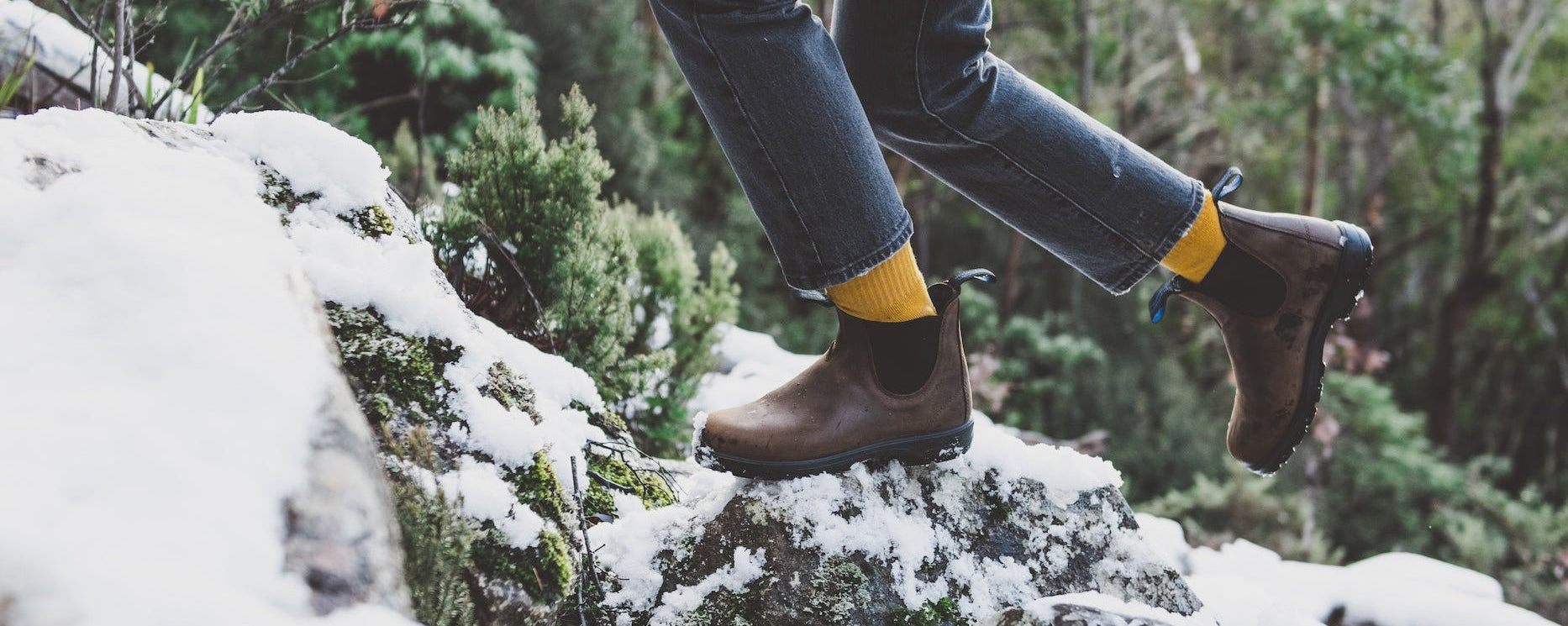 Person hiking on a snowy trail wearing brown Blundstone boots and yellow socks.