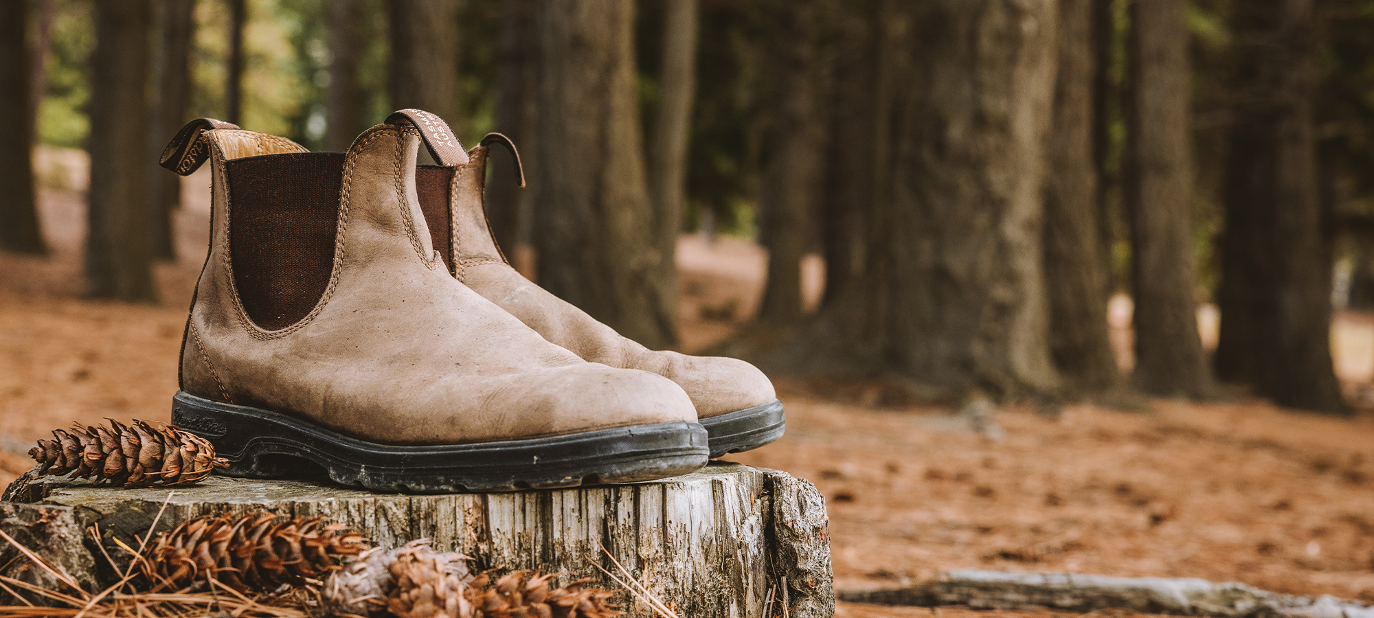 Blundstone Canada Chelsea Boots for Men Women and Kids